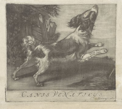 ugró kutya Canis Venaticus (cím a tárgyon) alkotó: Evert van Sweinen