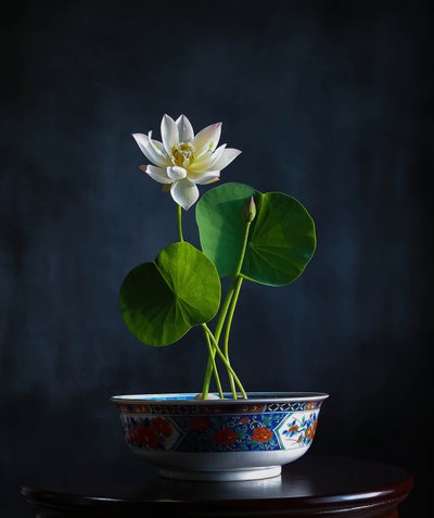 A fehér lótusz nyugalma alkotó: Fangping Zhou