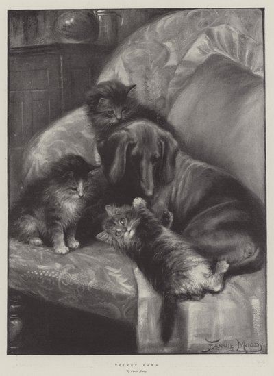Bársonymancsok alkotó: Fannie Moody