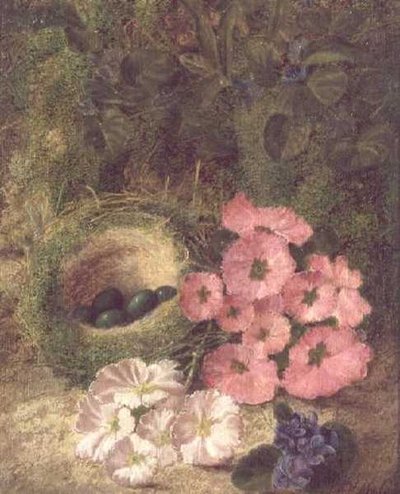 Tavasz (fészek kutyarózsákkal) alkotó: Fanny Jane Bayfield