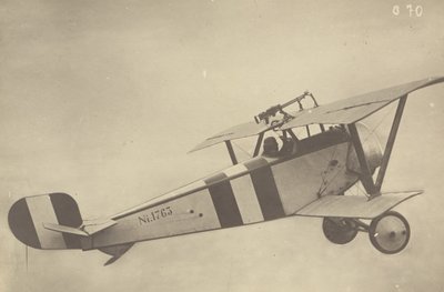[Egy repülő Nieuport 17 (repülőgép) profilja] alkotó: Fedele Azari