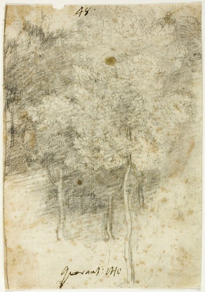 Fák ligete alkotó: Federico Barocci