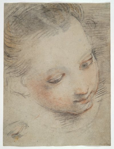 Egy lány feje, tanulmányozzon egy alakot a Madonna del Popolo oltárképen az Uffiziben alkotó: Federico Barocci