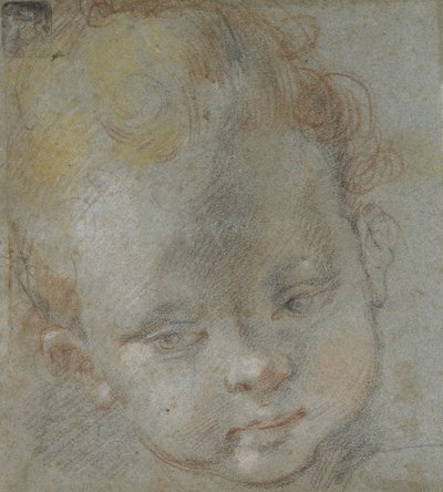 Recto: Gyermekfej (fekete, piros, fehér, rózsaszín és sárga kréta kékesszürke papíron) alkotó: Federico Barocci