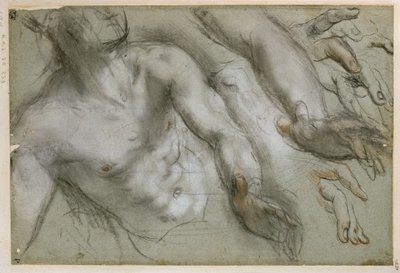 Tanulmány a szent alakjához a „Szent Vitalis vértanúsága” című festményhez alkotó: Federico Barocci