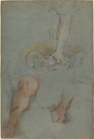 Tanulmányok egy szolgának az "Utolsó vacsora" c. alkotó: Federico Barocci