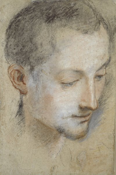 Tanulmány egy fiatal férfi fejéről (fekete, piros és rózsaszín kréták szürkés papíron) alkotó: Federico Barocci