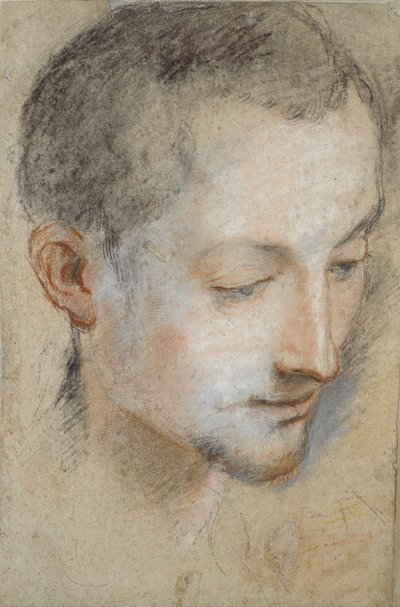 Tanulmány egy fiatal férfi fejéről, 16. század vége alkotó: Federico Barocci