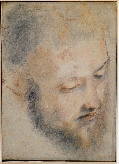 Barocci fejrajzának tanulmányozása alkotó: Federico Barocci