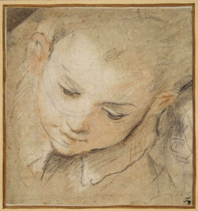Egy fiú feje lenéz alkotó: Federico Fiori Barocci or Baroccio