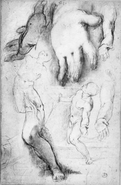 Tanulmány Szent Ferenc alakjához (kréta papíron) alkotó: Federico Fiori Barocci or Baroccio