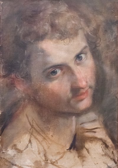 Tanulmány Szent Júdás fejének alkotó: Federico Fiori Barocci or Baroccio