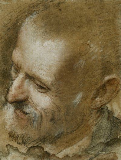 Tanulmány egy szakállas férfi fejéről balra, 1590 alkotó: Federico Fiori Barocci or Baroccio