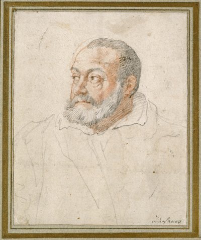 Férfiportré (vörös kréta és fekete ólom, papír) alkotó: Federico Zuccaro