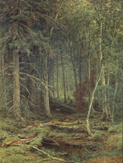 Mocsár az erdőben, 1872 ősz alkotó: Fedor Aleksandrovich Vasiliev
