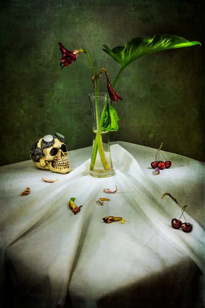 Gótikus koponya – Vanitas alkotó: Felice Angelino