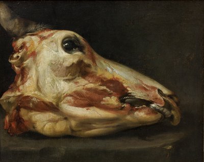 Fiatal bika megnyúzott feje, 1690 körül (olaj, vászon) alkotó: Felice Boselli