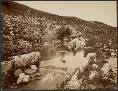 Elizeus forrása, Palesztina alkotó: Félix Bonfils