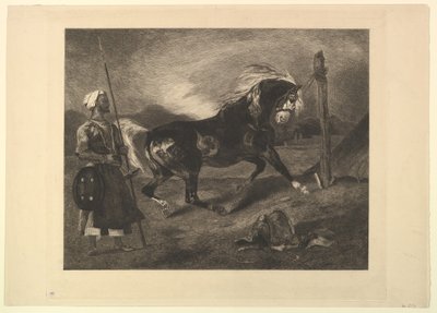 Arab ló a karón, Delacroix után, 1857. alkotó: Felix Bracquemond