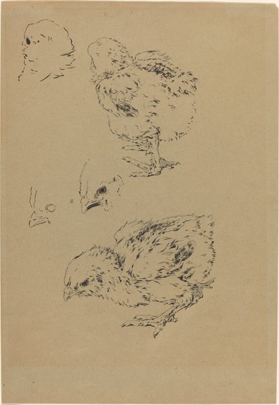 Csajok alkotó: Felix Bracquemond