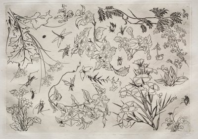 Vacsora (Rousseau szolgáltatás): Virágok (22. sz.) alkotó: Felix Bracquemond