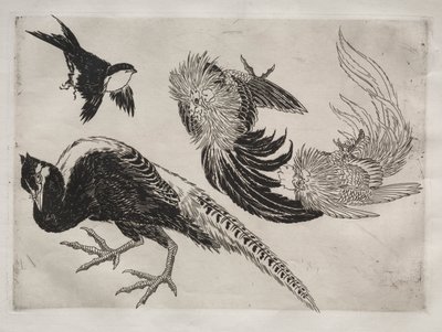 Vacsora (Rousseau szolgáltatás): Fácánok és madár (18. sz.) alkotó: Felix Bracquemond