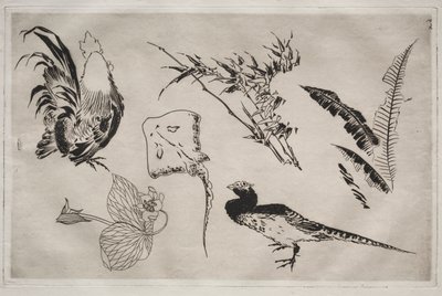 Vacsora (Rousseau szolgáltatás): Kakasok, rája, növények stb. (9. sz.) alkotó: Felix Bracquemond