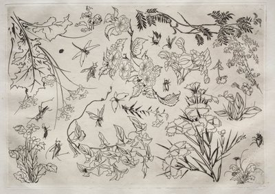 Vacsora Rousseau szolgáltatás: Virágok sz. 1866. 22. alkotó: Felix Bracquemond