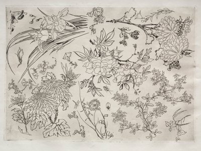 Vacsora Rousseau szolgáltatás: Virágok sz. 1866. 23. alkotó: Felix Bracquemond