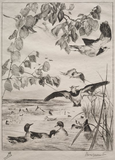 Lapwings és Teals alkotó: Felix Bracquemond