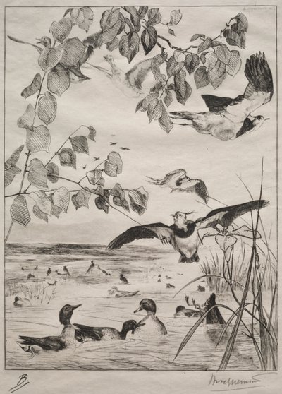 Lapwings and Teals, 1862. alkotó: Felix Bracquemond