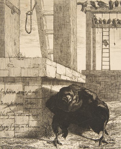 A holló, 1859. alkotó: Felix Bracquemond