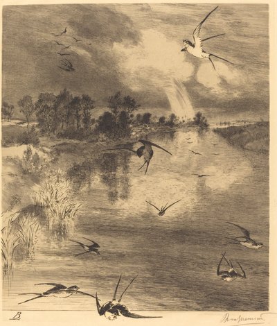 Les Hirondelles (A fecskék) alkotó: Felix Bracquemond