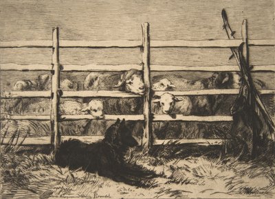 Terelt juhok, 1856. alkotó: Felix Bracquemond