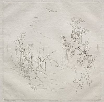 Párizsi szolgáltatás (Haviland szolgáltatás): Nyugodt (3. sz.) alkotó: Felix Bracquemond