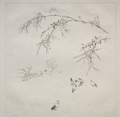 Párizsi szolgáltatás (Haviland szolgáltatás): Eső (10. sz.) alkotó: Felix Bracquemond