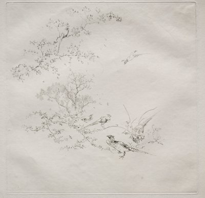 Parisian Service Haviland szolgáltatás: Köd sz. 1, 1875. alkotó: Felix Bracquemond