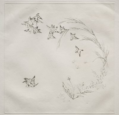 Parisian Service Haviland szolgáltatás: A harc sz. 2, 1875. alkotó: Felix Bracquemond