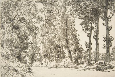 Rue des Bruyères, Sèvres, 1868. alkotó: Felix Bracquemond