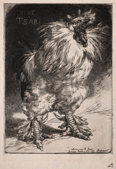 A francia kakas, 1893. alkotó: Felix Bracquemond