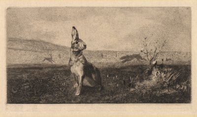 A nyúl Le Hare, 1865. alkotó: Felix Bracquemond