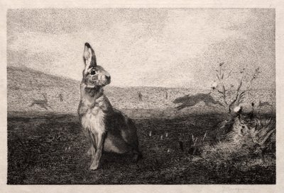 A nyúl A. de Balleroy után, 1865. alkotó: Felix Bracquemond