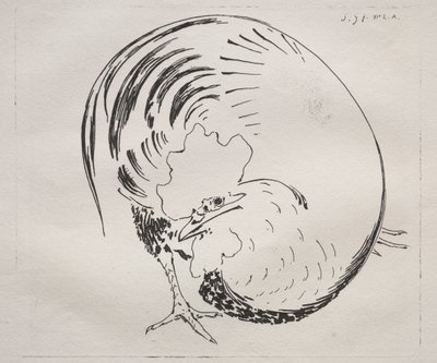 A nagy tüzelésű szolgálat: Rooster (ellenálló) alkotó: Felix Bracquemond