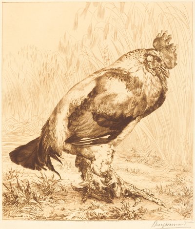 Az Öreg Kakas alkotó: Felix Bracquemond