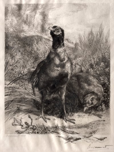 A fácánok alkotó: Felix Bracquemond