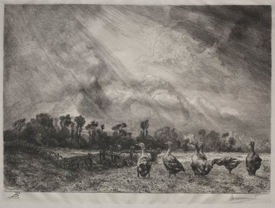 A viharfelhő, 1878-1887. alkotó: Felix Bracquemond