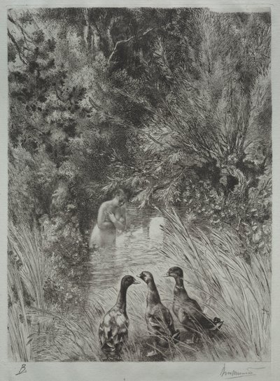 A Meglepett Kacsák alkotó: Felix Bracquemond