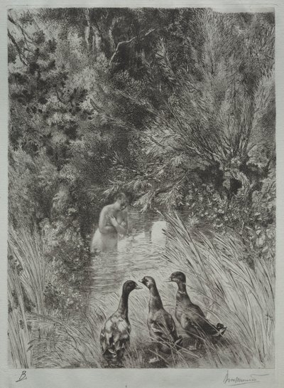 A Meglepett Kacsák. alkotó: Felix Bracquemond