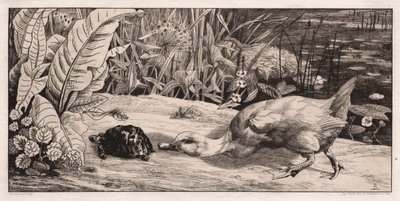 Az ismeretlen, 1862. alkotó: Felix Bracquemond