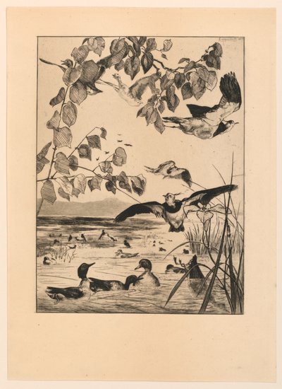 Lapwings és Teal alkotó: Felix Bracquemond